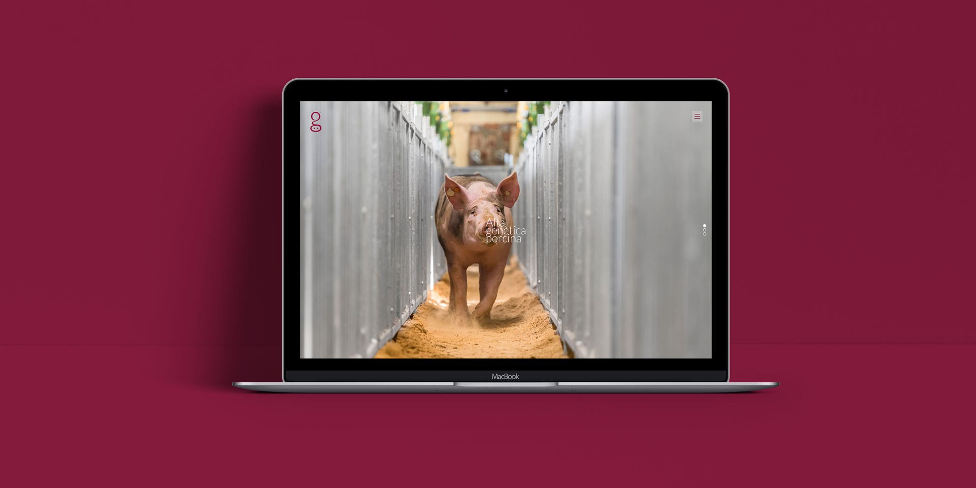 Sergal – Nova pàgina web