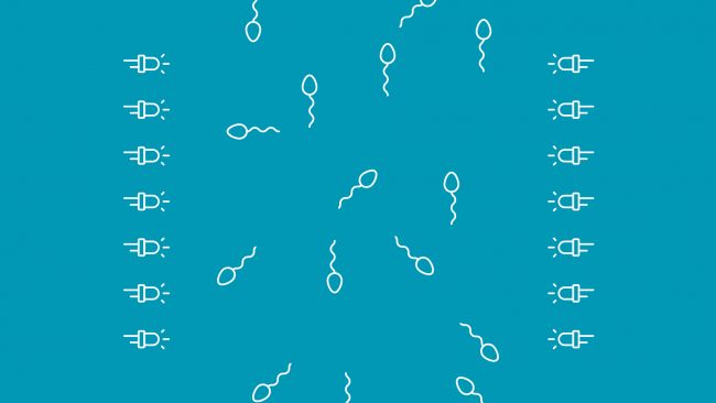 Maxipig & Sergal - Tecnologia contrastada