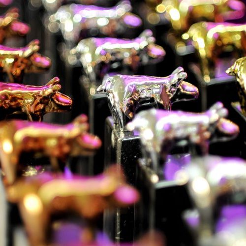 Premis_estatuilles_PorcdOr-752x500