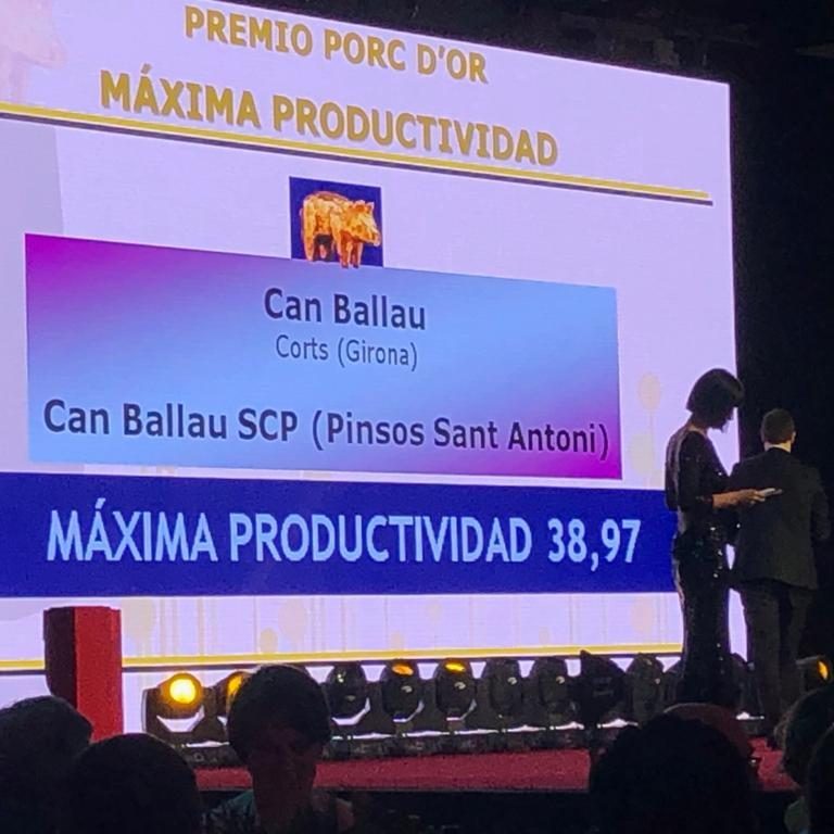 Sergal-porcdor-1-1024x768