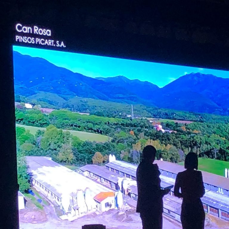 Sergal-porcdor-5-1024x768