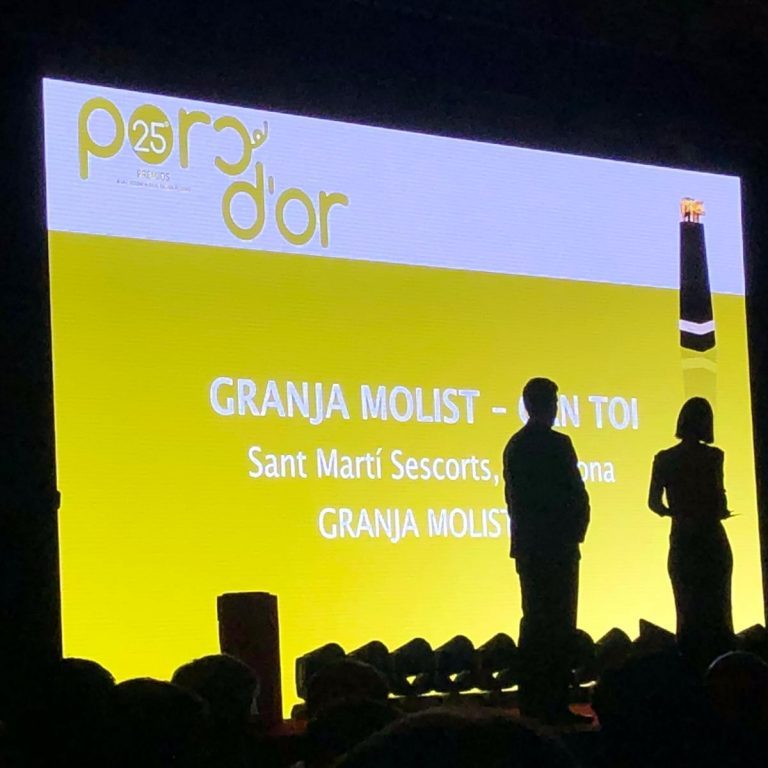 Sergal-porcdor-6-1024x768