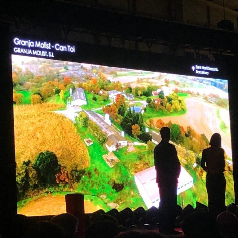 Sergal-porcdor-7-1024x768