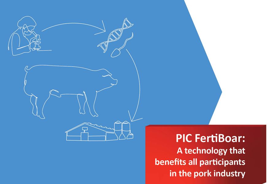FertiBoar combina la medición biométrica con inteligencia artificial. Aporta ventajas a todos los participantes en la cadena de valor porcina.